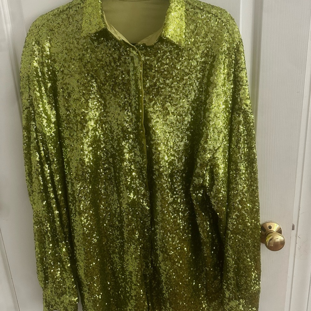 Green Sequin Shirt Dress